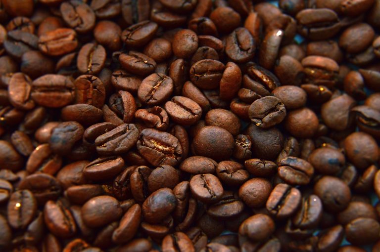 Lyposingrass: Meaning, Uses, Benefits, and Everything You Need to Know